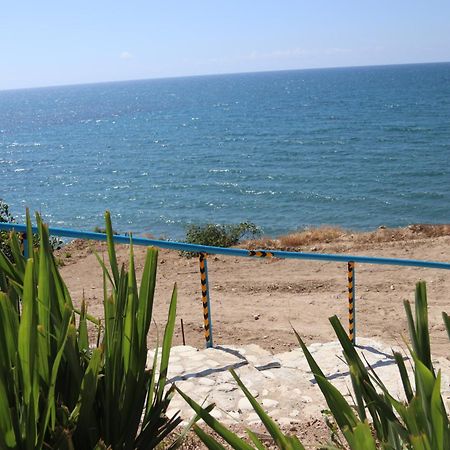 Summer Dream Cyprus Maroni Eksteriør bilde